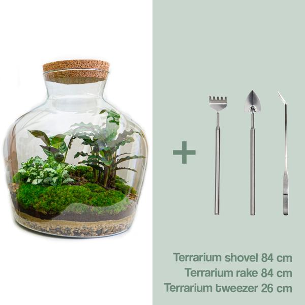 DIY terrarium -  Fat Joe - ↕ 30 cm - Rake + Shovel + Tweezer  BotanicBridge