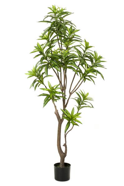 Kunstplant - Dracaena - Drakenboom - 155 cm  BotanicBridge